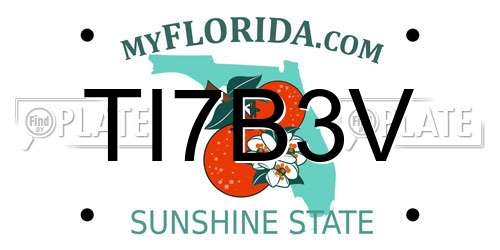 TI7B3V Florida License Plate