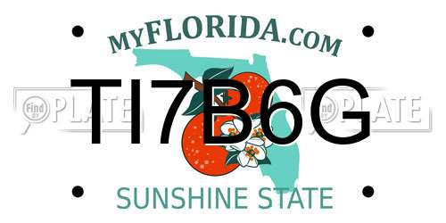 TI7B6G Florida License Plate