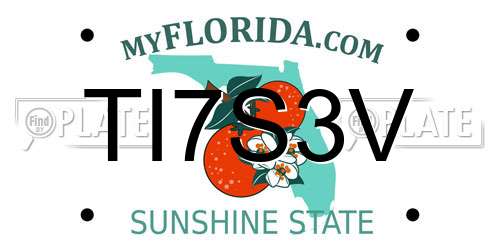 TI7S3V Florida License Plate