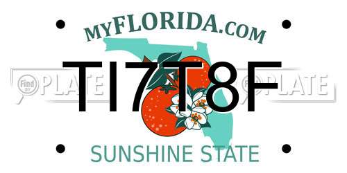 TI7T8F Florida License Plate