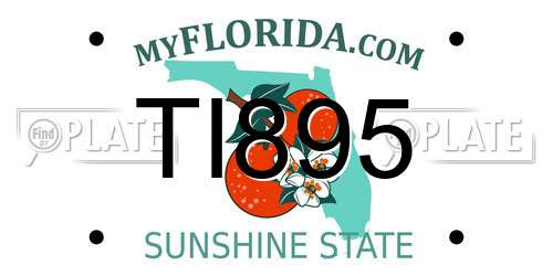 TI895 Florida License Plate