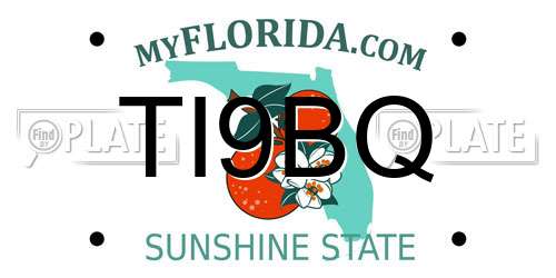 TI9BQ Florida License Plate