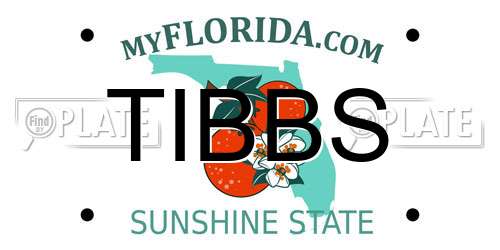 TIBBS Florida License Plate