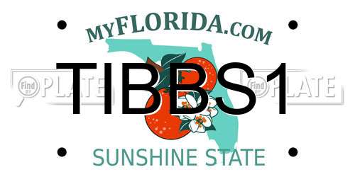 TIBBS1 Florida License Plate