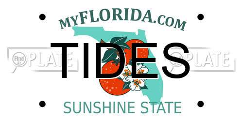 TIDES Florida License Plate