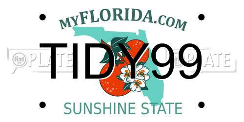 TIDY99 Florida License Plate