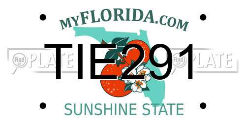 TIE291 Florida License Plate