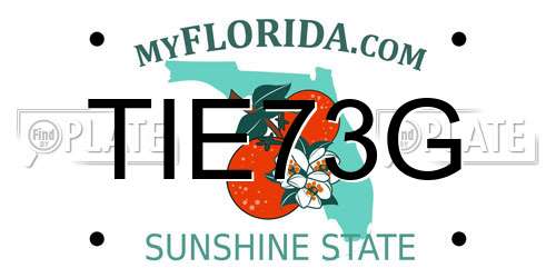TIE73G Florida License Plate
