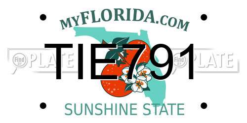 TIE791 Florida License Plate