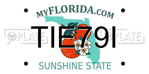 TIE79I Florida License Plate