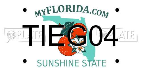 TIEG04 Florida License Plate
