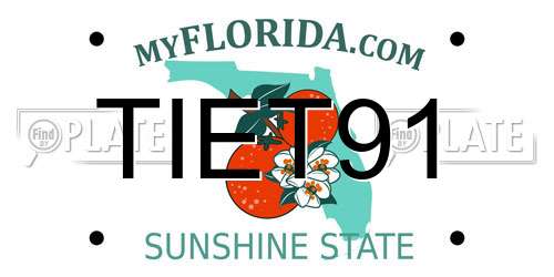 TIET91 Florida License Plate