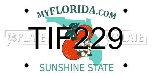 TIF229 Florida License Plate