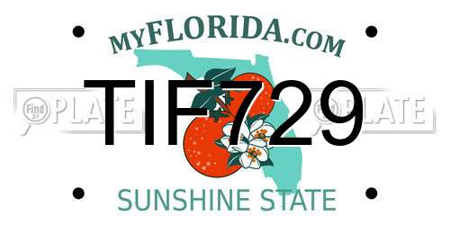 TIF729 Florida License Plate