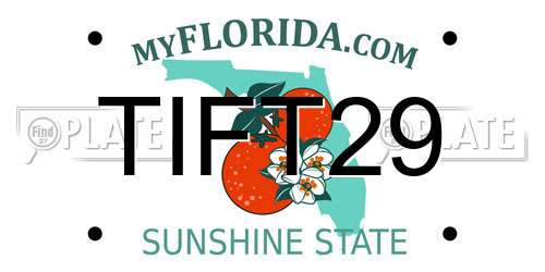 TIFT29 Florida License Plate