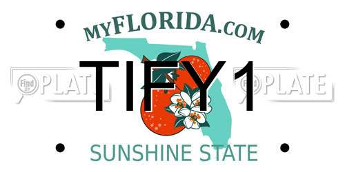 TIFY1 Florida License Plate