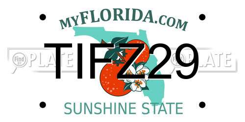 TIFZ29 Florida License Plate