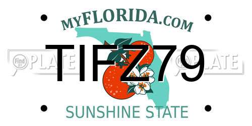 TIFZ79 Florida License Plate