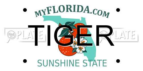 TIGER Florida License Plate