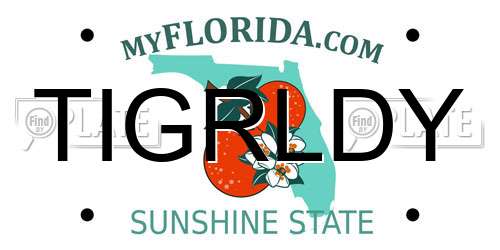 TIGRLDY Florida License Plate