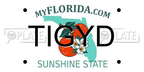 TIGYD Florida License Plate