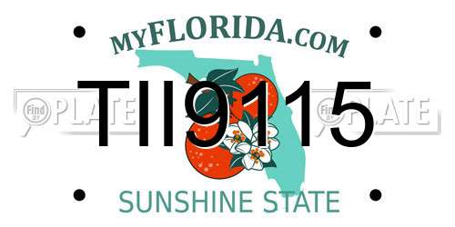 TII9115 Florida License Plate
