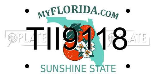 TII9118 Florida License Plate