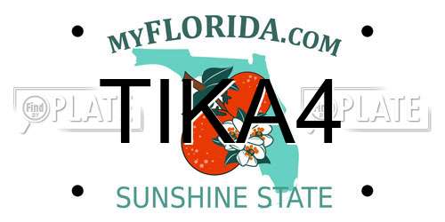 TIKA4 Florida License Plate