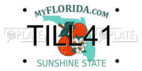 TILL41 Florida License Plate