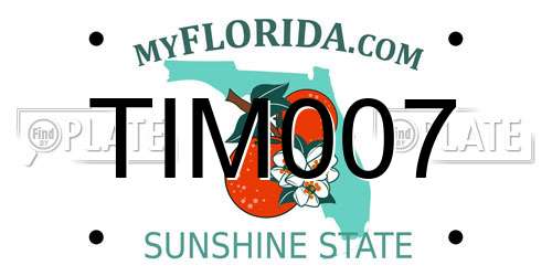 TIM007 Florida License Plate