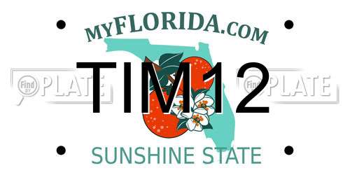 TIM12 Florida License Plate