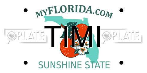TIMI Florida License Plate