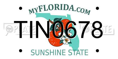 TIN0678 Florida License Plate