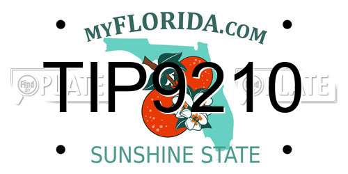TIP9210 Florida License Plate