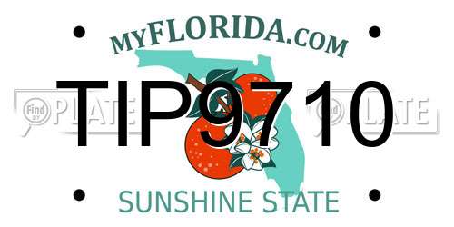 TIP9710 Florida License Plate