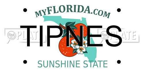 TIPNES Florida License Plate