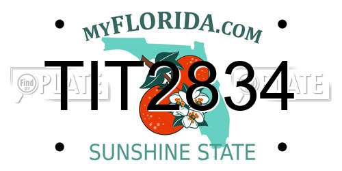 TIT2834 Florida License Plate