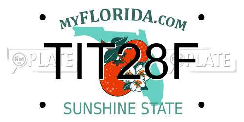 TIT28F Florida License Plate