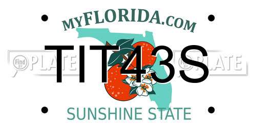 TIT43S Florida License Plate