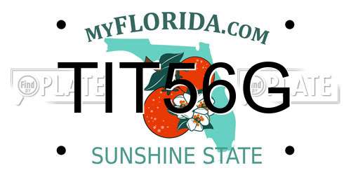 TIT56G Florida License Plate