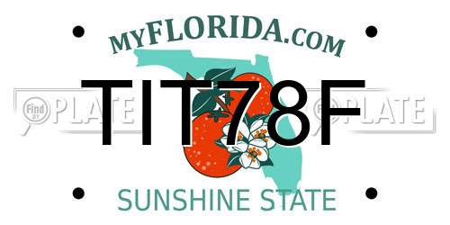 TIT78F Florida License Plate