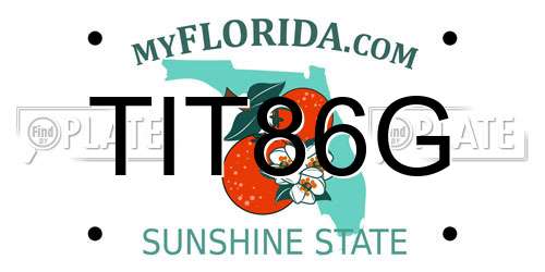 TIT86G Florida License Plate