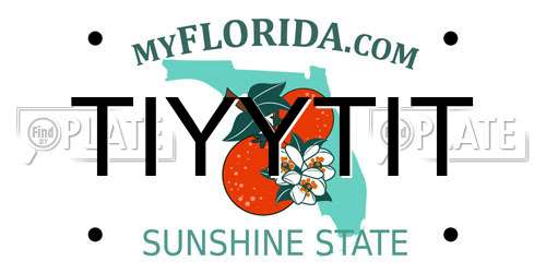 TIYYTIT Florida License Plate