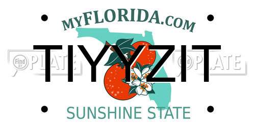 TIYYZIT Florida License Plate