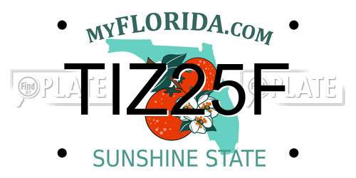 TIZ25F Florida License Plate