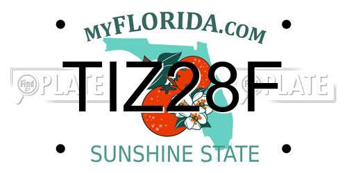 TIZ28F Florida License Plate