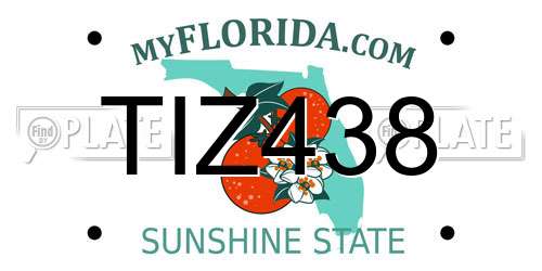 TIZ438 Florida License Plate