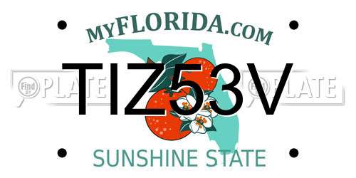 TIZ53V Florida License Plate