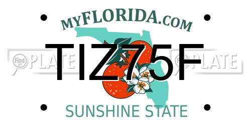 TIZ75F Florida License Plate