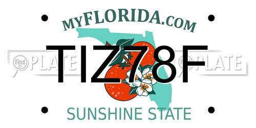 TIZ78F Florida License Plate
